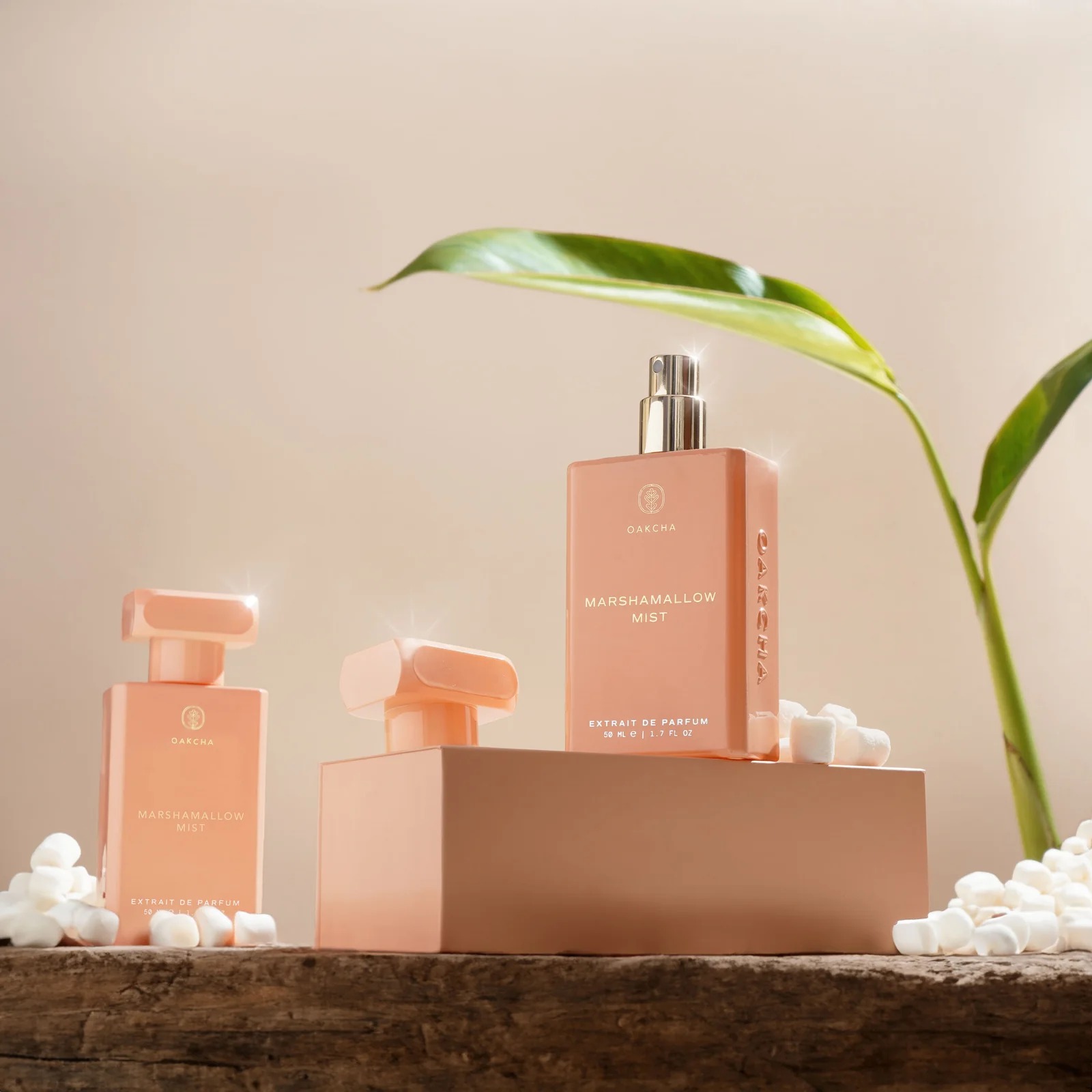Oakcha Extrait De Parfum 50ml  - Luxury Lifestyle Party 리뷰 및 가격